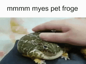 Froge.gif
