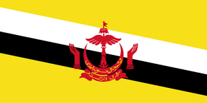 Flag of Brunei.png