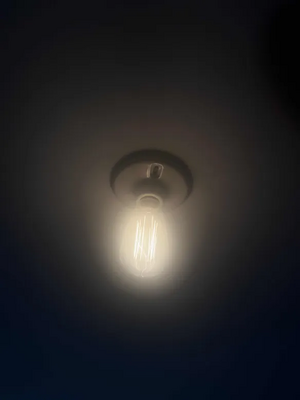 This is a 'light bulb'. I don't know why the light is in there.