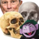 Statley, Waldonf, Michael Bloomberg, and Count
