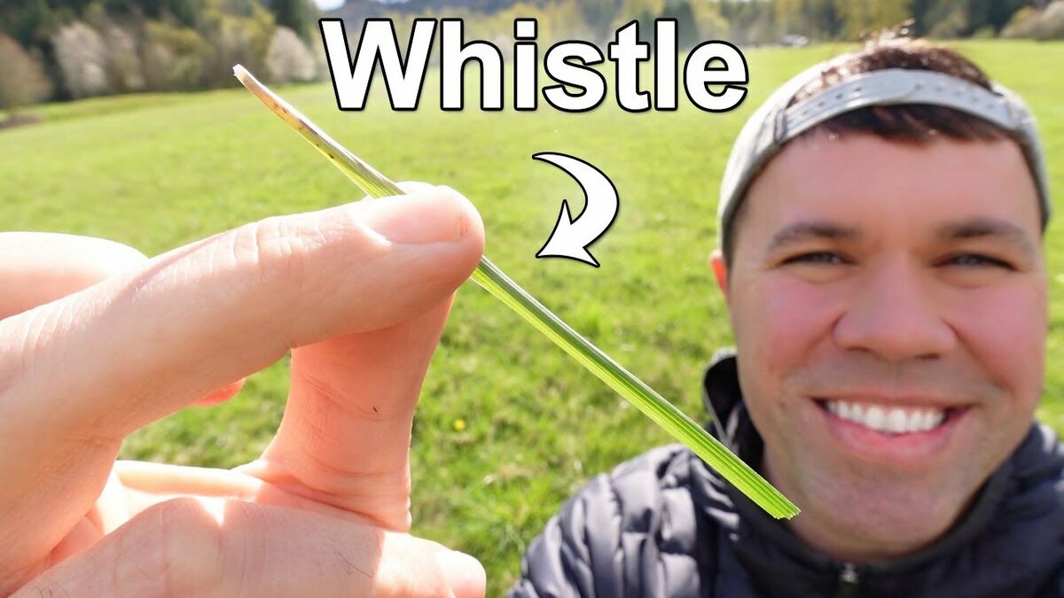 Grass instrument - The Wiki Camp 2