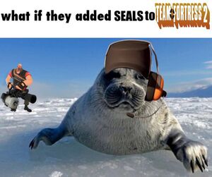 Sealf2.jpg
