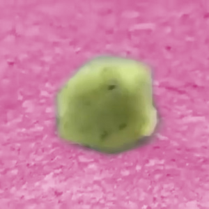 Crouton voting icon.png