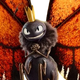 Titus