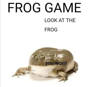Froggame.png