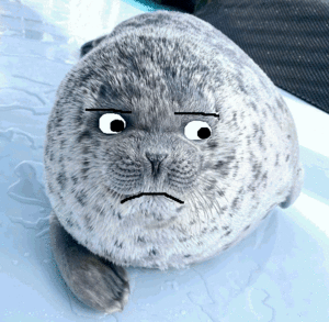 Don't Caring Pontalke.gif