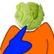 HeadofLettuce
