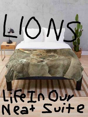 Lions blanket.jpg