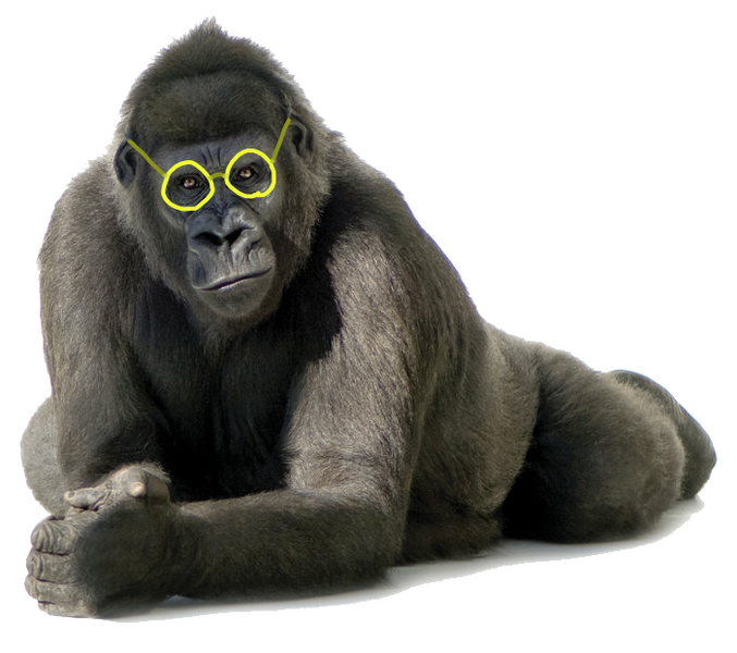 File:Gorilla Samson.png