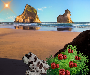 Suggest who is this.png