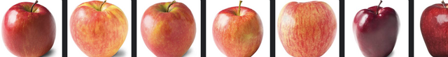 File:Apples.png - The Wiki Camp 2