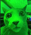Thumbnail for version as of 22:40, 12 May 2026