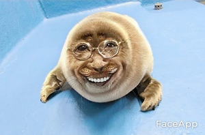Oldseal1.png