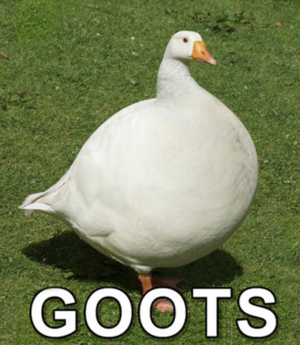 Goots.png
