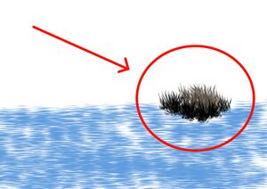 Artistic Depiction of an Island by bbpolterGAYst.jpg