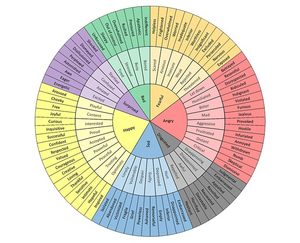 Feelings-wheel-explained.png