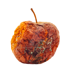 Rotten apple by prussiaart db1lljj-fullview.png
