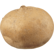 jicama