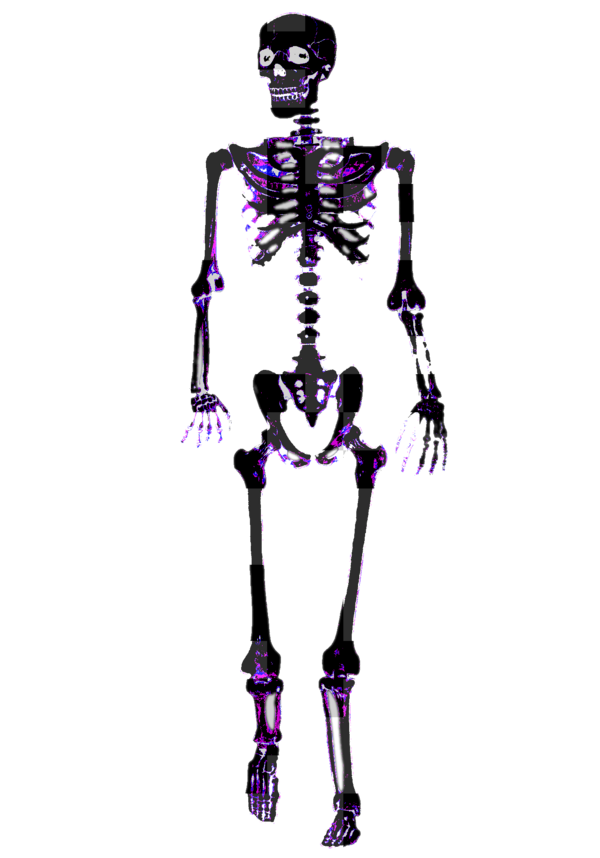 voidhusk-the-wiki-camp-2