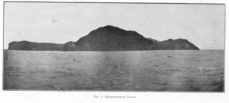 File:FMIB 50815 Disappointment Island.jpg