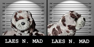 Total Seal Imprisonment