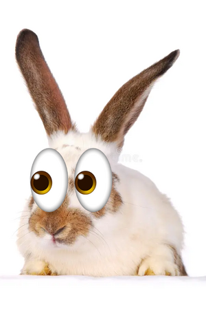 Lets... 👀👀👀👀 Have a Look.... 👀👀👀👀👀👀👀👀.png