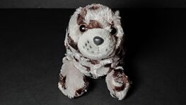 Basket Ball dawning their team's color