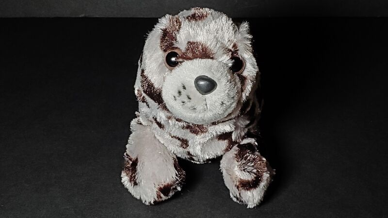 File:8 who is this.jpg