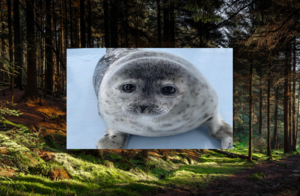 Ai secret message 🤯.png