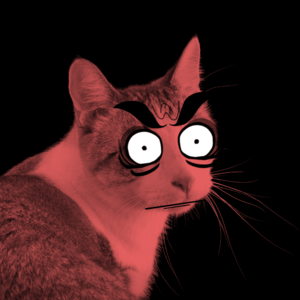 Evil Cat.png