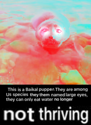 BaikalAware.png