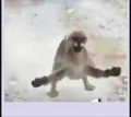 Thumbnail for version as of 16:45, 3 September 2026