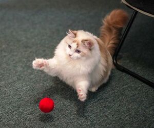 I huntz flying ball.jpg