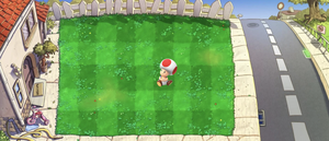 Toad.png