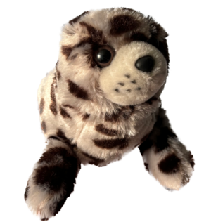 Wednesday Cappuccino 10.png