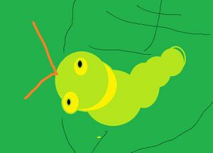 Caterpie IRL.jpg