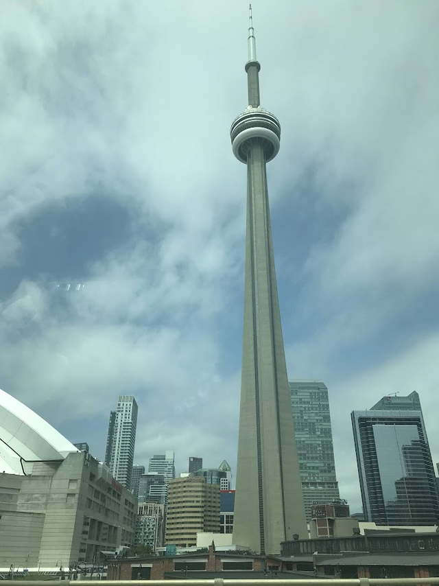 toronto-the-wiki-camp-2