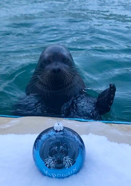 File:Kroshik ornament.jpg