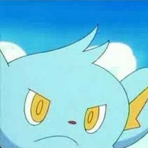 Shinx10.jpg