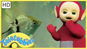 Teletubbies x fish.jpg