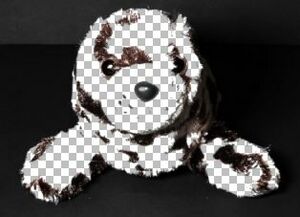 Transparent who is this.JPG