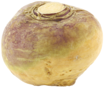 rutabaga