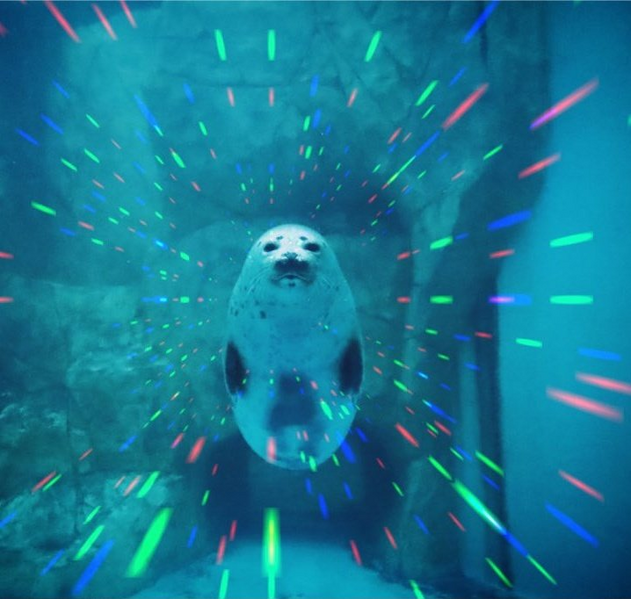 File:Instant message.png