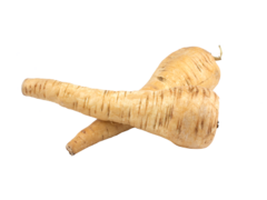 parsnip