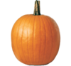 Super Cool Pumpkin: i stole a pumpkin from that weird page about squid games or whatever. at least THIS one doesnt have a face on it