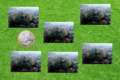 Multiple cities of Bitche in the grass, with a coin of 1 euro for size comparison