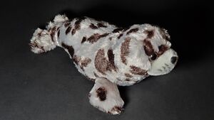 An outfit Basket Ball typically dawns when attending formal events such as Mark Genuine's funeral and challenge results