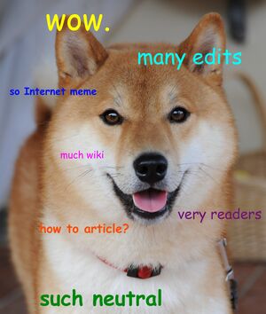 Doge homemade meme.jpg