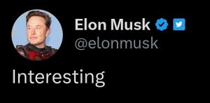 Elon Musk Interesting.jpg