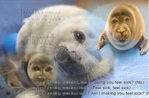 powerpoint collage of niko overlayed with ethel cian lyrics